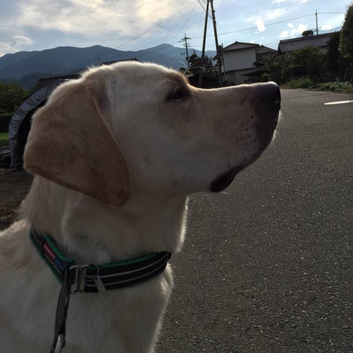 2c5eb975 43ed 4747 b45b 1605629cada0