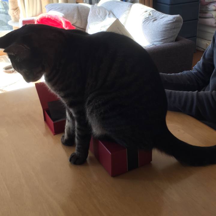 2c5fcbdd 2b73 45cb 893e 2997f78c0f42