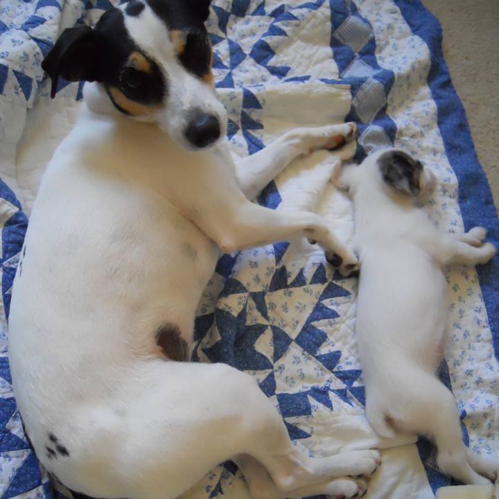 2c5ffc94 b117 4190 9a94 0b8e42f5c573