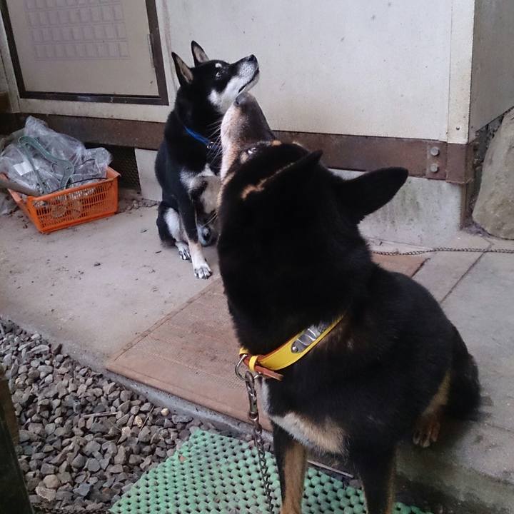 2c6077e9 a176 4494 b752 ae1cf8b59e01