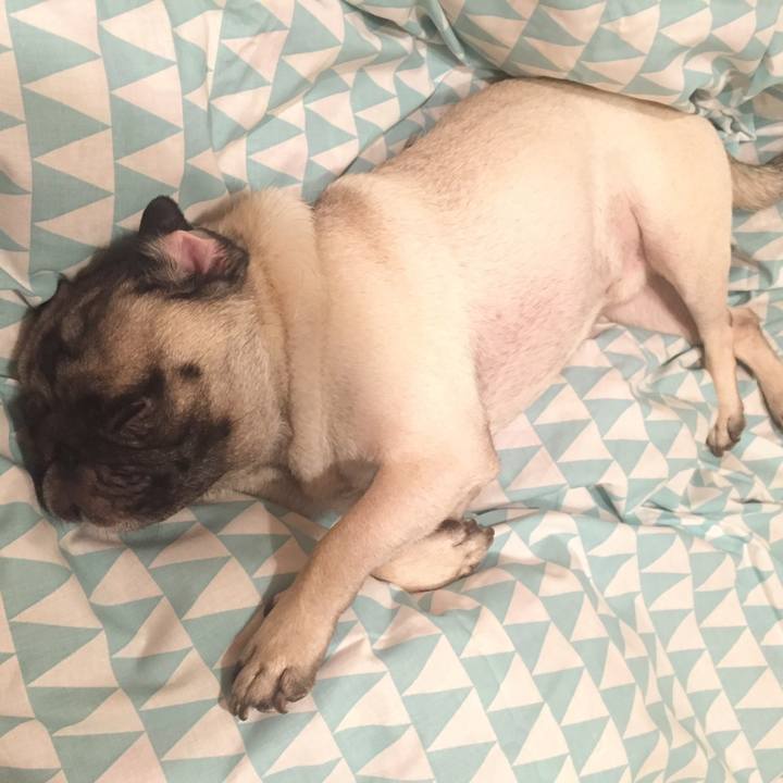 2c60c091 f4ef 41f6 92b7 611951beb057