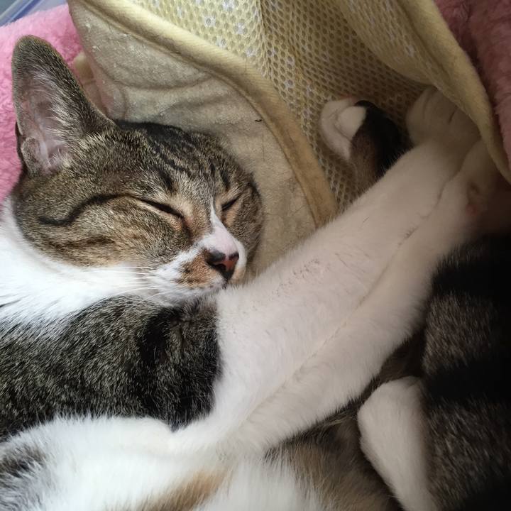 2c616b1a 89b9 429a a14c 02ad6bf87a9e