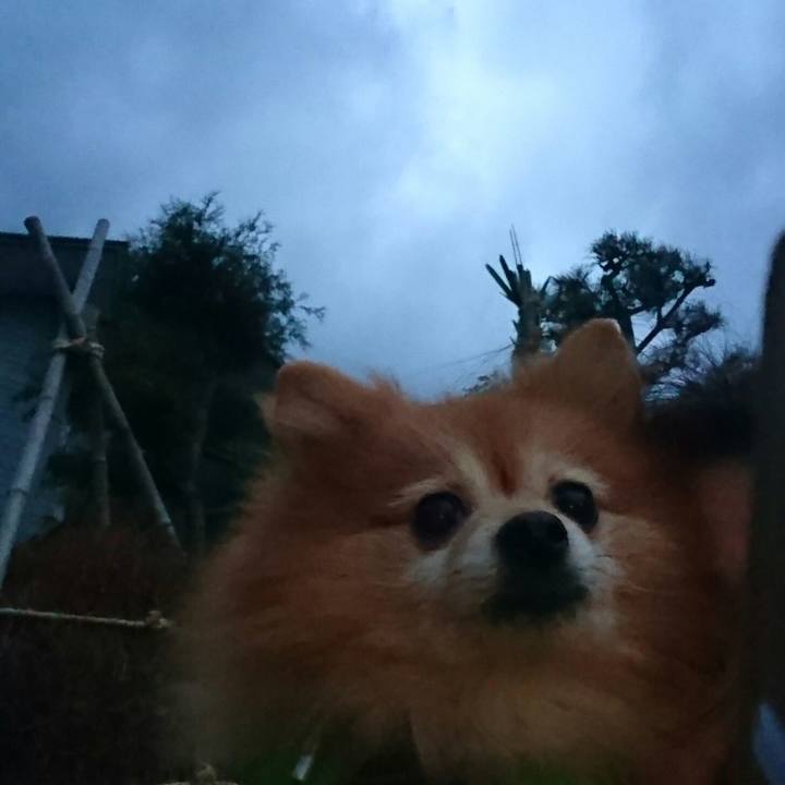 2c61832b 0524 4af1 b5d8 cf7d8b2f2808