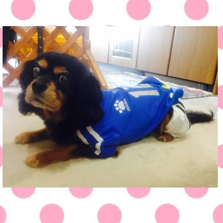 2c61d0cf 92ae 4be3 ada1 a42f9c59b40b