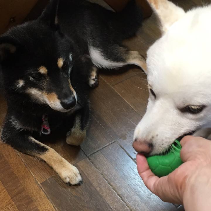 2c63a360 5043 4382 ae7f 0846ee5fef56