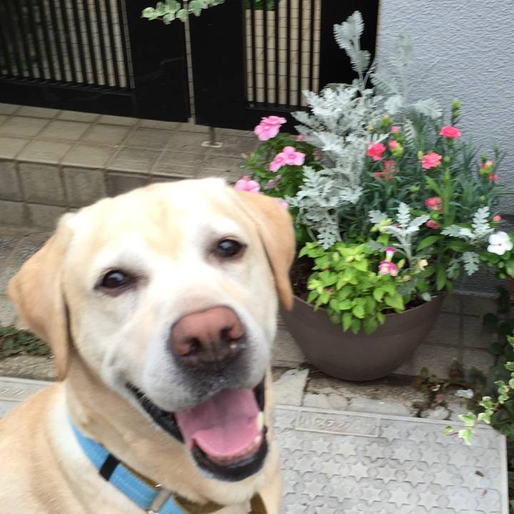 2c63f867 2fff 40c0 ace2 b5bbe1ca0fd9