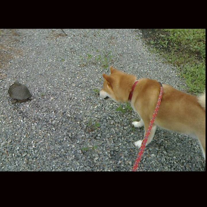 2c64278a c138 46ee 8eb8 98363450b32e