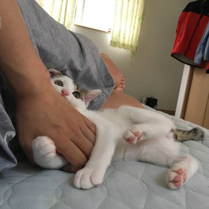 2c644d50 2566 46c8 a4fc 1a6b238986ea