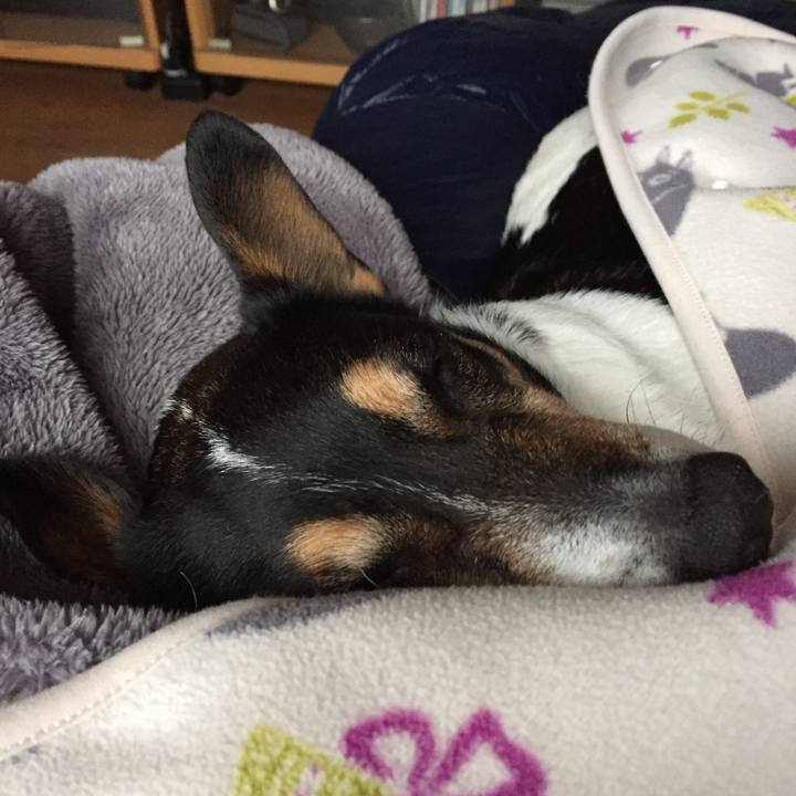 2c6450b2 b002 4f04 aad5 936cbcdefccd