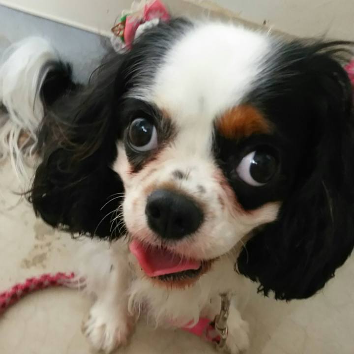 2c645bd8 b214 48b6 afeb d8509aab72de