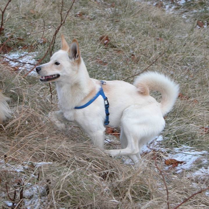 2c64824c 2802 47c0 8387 0b23a45564b6