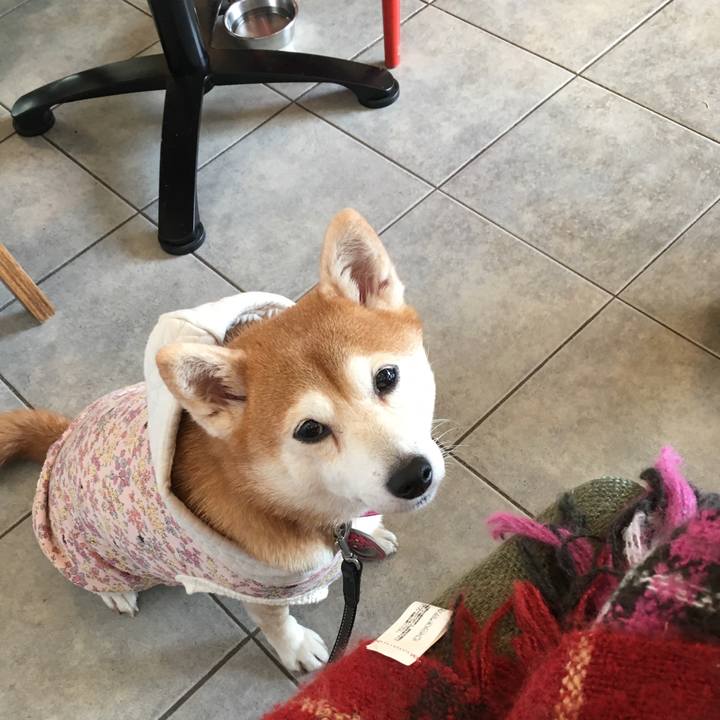 2c648609 1aa5 42b2 b420 a17de4e31df6