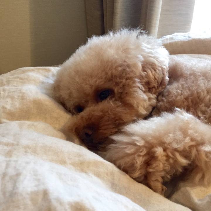 2c64dc3b 986c 4c98 a52b d824905f4a5b