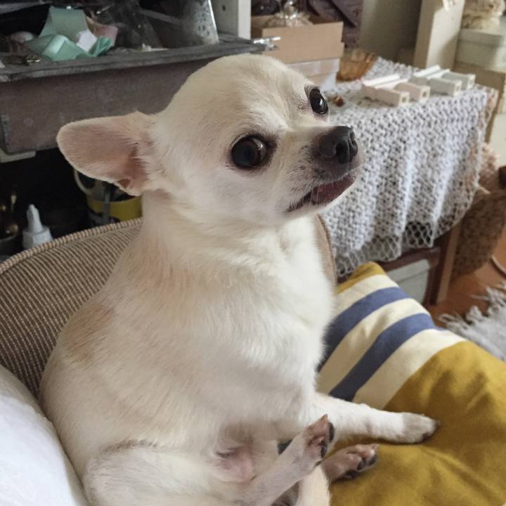 2c655872 9682 48c2 a4b8 d3f66b30b864