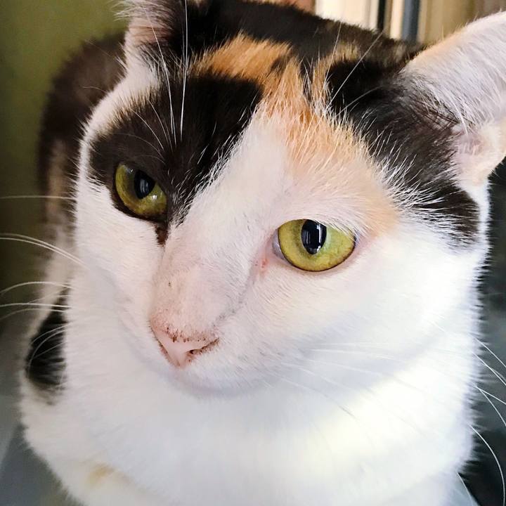 2c6561b0 e22a 41eb a22e 7c043c1a74d4