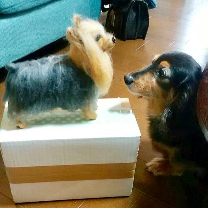 2c6566ba b44e 4133 b3f1 3bc326dc6d93