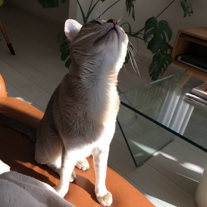 2c65b90e e2c2 4537 a477 7ab8358d4422