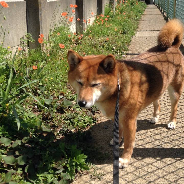 2c66395c 38a9 4473 ad4a dfe9b1e4a517