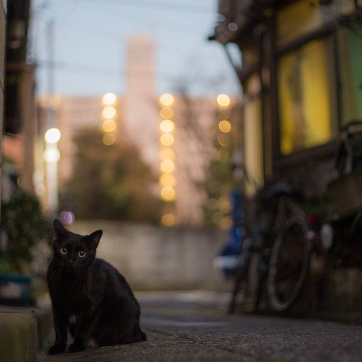 2c6686d8 d345 49c9 ae05 6195d55e22b9