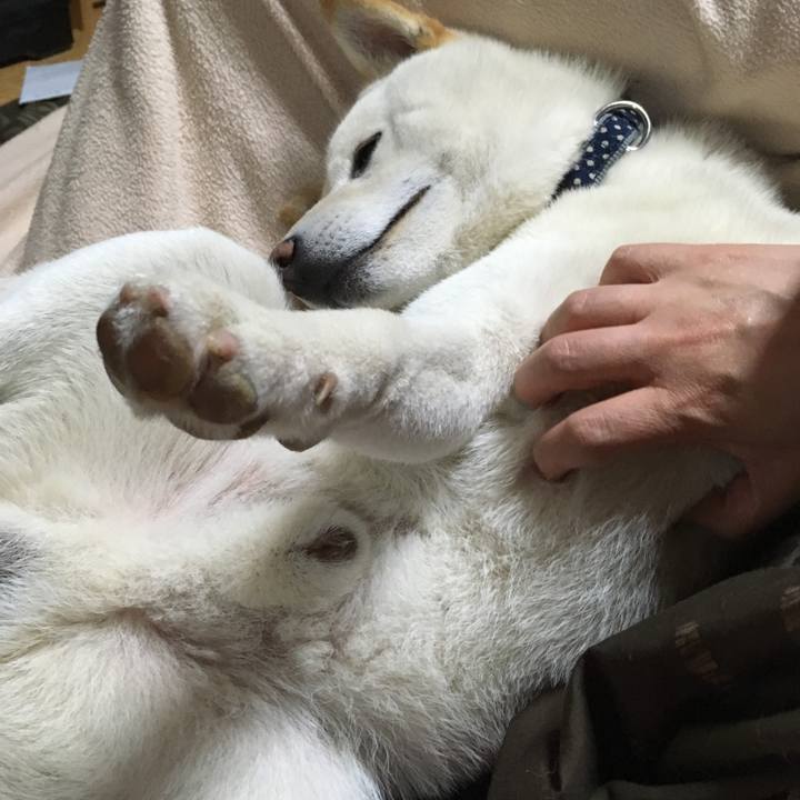 2c66c9ec 0ebf 4b14 b2f9 9d6b47eb0c3f