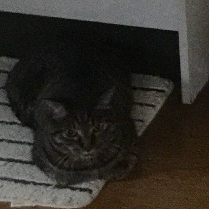 2c66d554 1c81 45f7 8034 57b6822e4eff