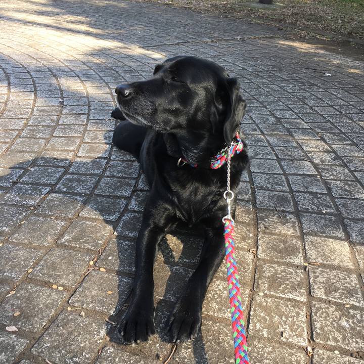 2c670b88 94c6 4083 b930 2f8e4506bd56