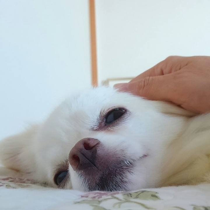 2c6716d4 f460 4495 8836 af276d59cde9