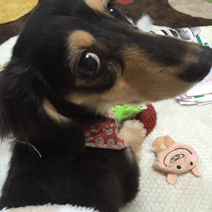 2c68f86d 3e11 4228 8e50 5c3276ca4770