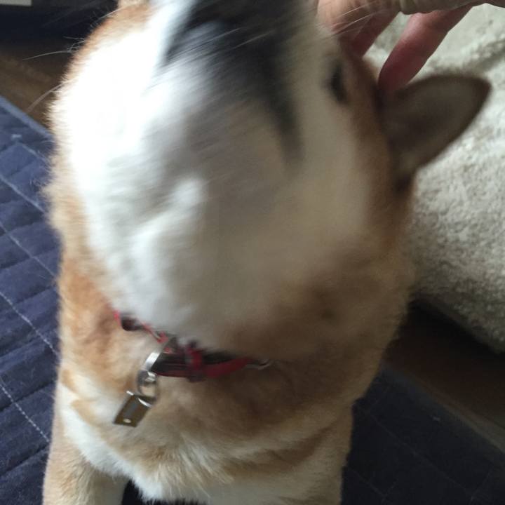 2c693793 1b7d 4185 8e4d c53e33b6622c