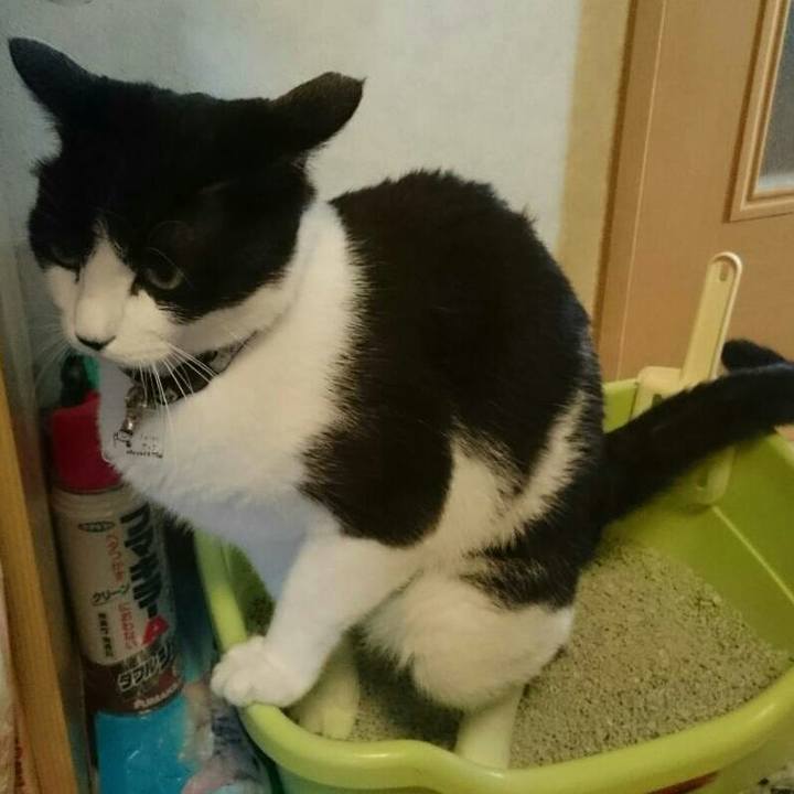 2c6971c7 f1f8 494e 859f 41e44c6bd4f4