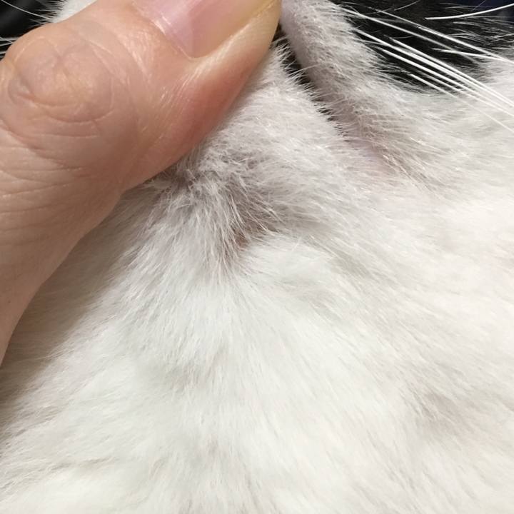 2c6af365 76c0 43f9 ae51 dc88cda297de