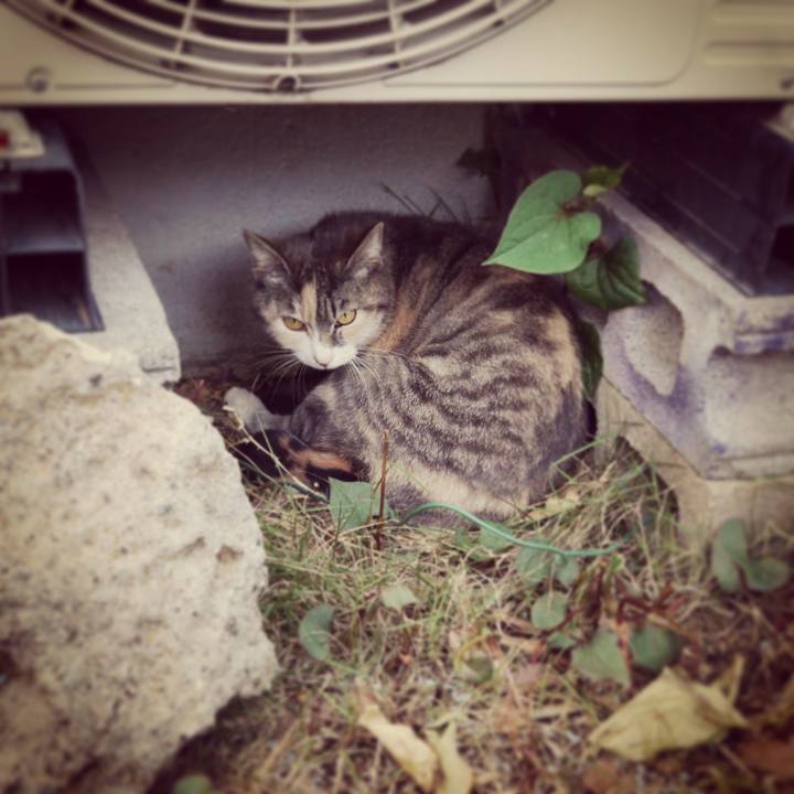 2c6b0c16 8a6e 45fd 8e18 8835fb3529a0