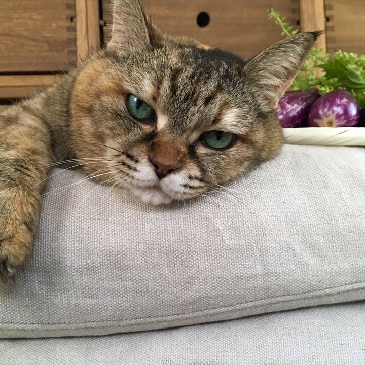 2c6b3582 6baa 44d0 97d2 027d4a09aae9