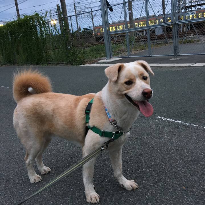 2c6c2de5 2543 4746 92a4 912f85719c4b