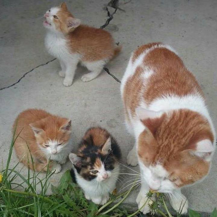 2c6ee2ab 21e0 44f9 82a1 0f7e4569a853