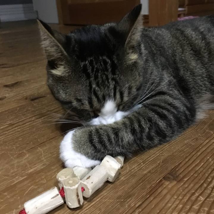 2c6f154e c2d9 4f80 9a97 a0dbac997bc3