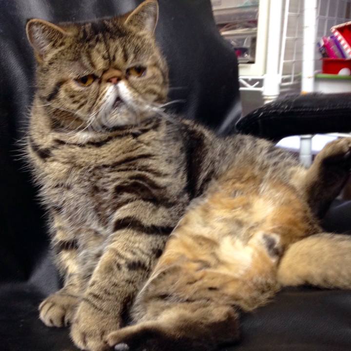 2c702639 4b25 44f2 b329 de87a4b14b4f