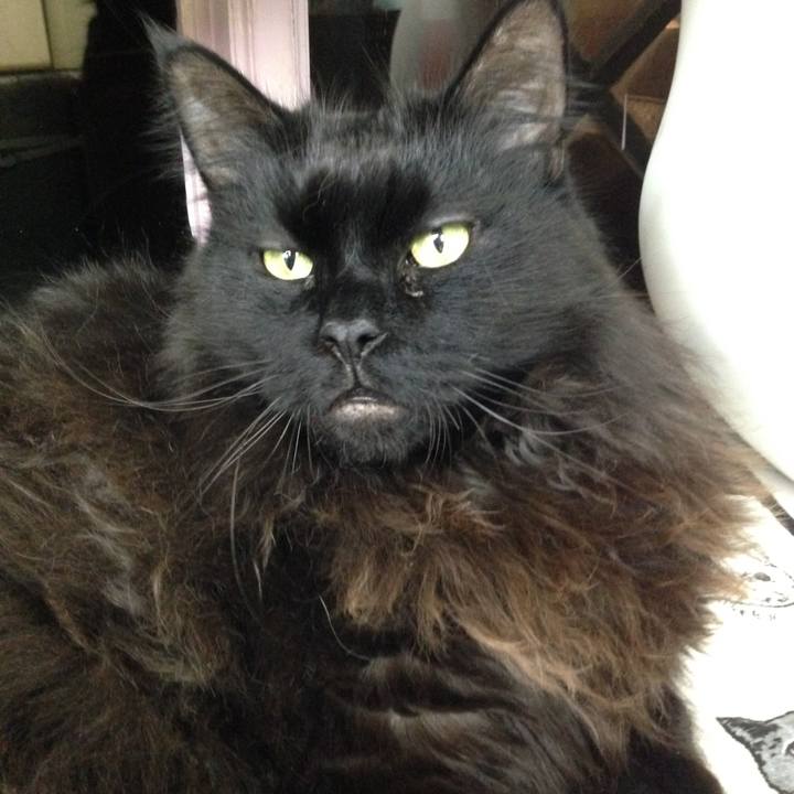 2c704c59 4dfd 4447 a2f1 d09666ee1aa7