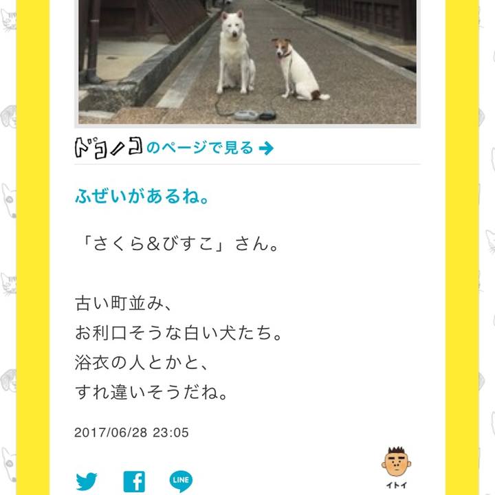 2c70ffaa f8cc 4074 8e06 8126de038ac0