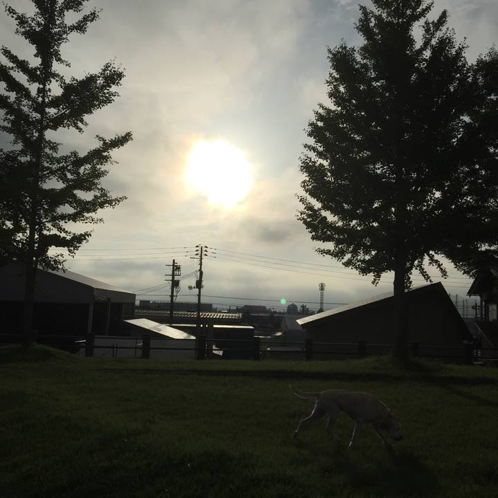 2c7119fe 31c0 4b14 92b6 a0ca951c420c