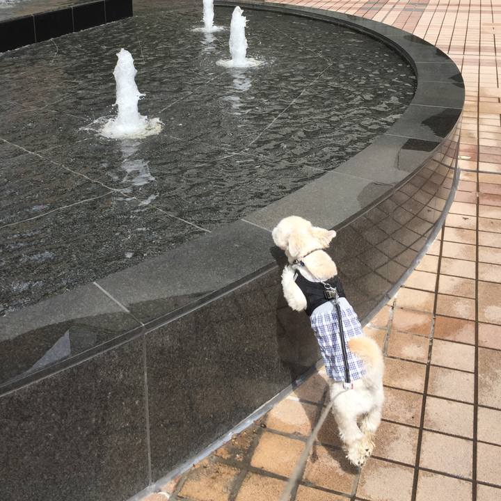 2c712d9a 8e37 4611 a75a 2b711e0f1408