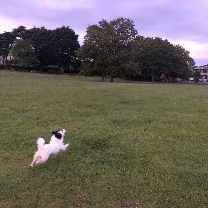 2c714d0f 28cf 46c0 81ee 27aefd104fed