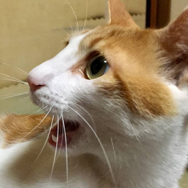 2c71898b fe6f 46cc 8667 8ead6e2d54ba