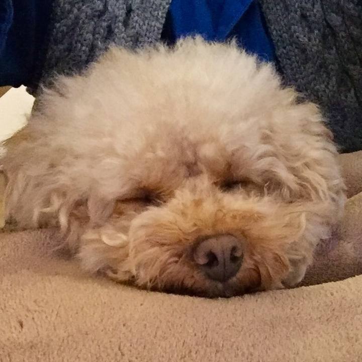 2c71a678 bedf 4b6f a203 d34258825283