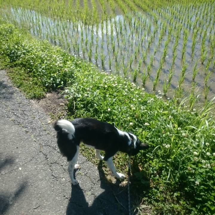 2c71ac9c 6877 42ed b9cc 94081f4a4b71