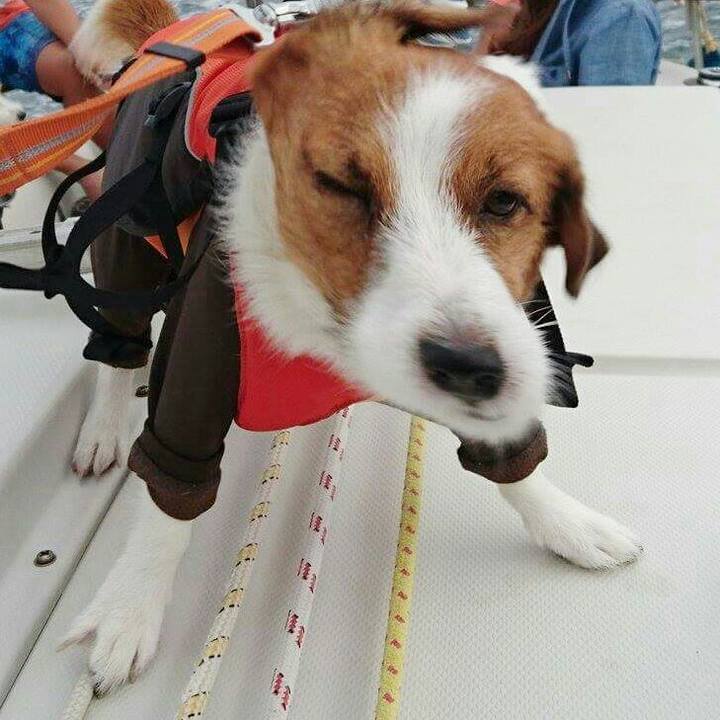 2c7248b5 2afe 47d6 bb7f b6d599e02029