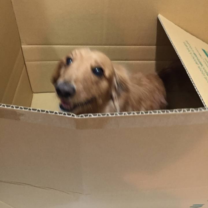 2c727b60 087a 4977 878e 5ab776106f56