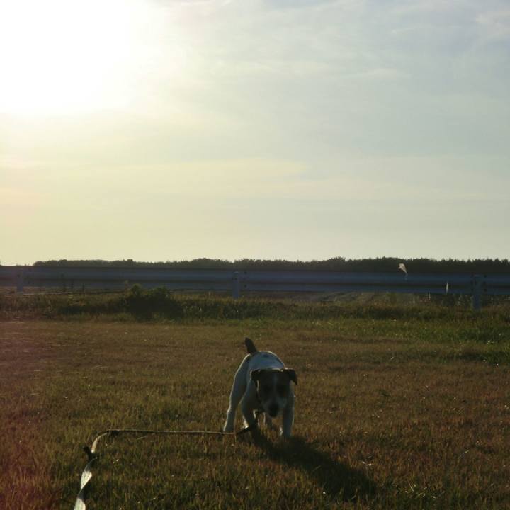 2c7318b7 203d 406e bb1e a537f8750b2e