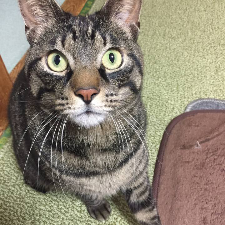 2c73540f bb65 4166 b89c b9a8553e55ab