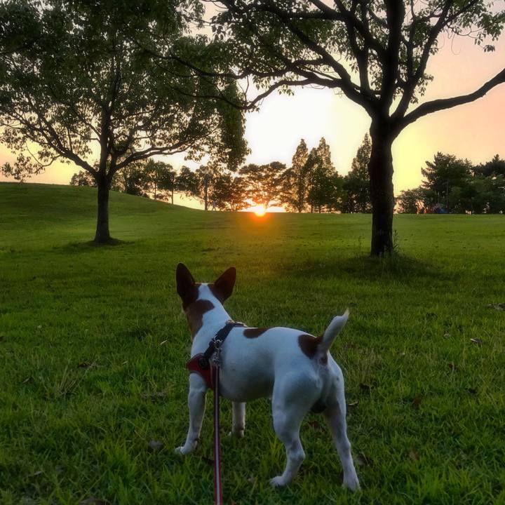 2c737fcb 2e53 42de 81f0 948f37169ff2